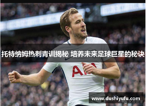 托特纳姆热刺青训揭秘 培养未来足球巨星的秘诀