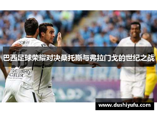 巴西足球荣耀对决桑托斯与弗拉门戈的世纪之战