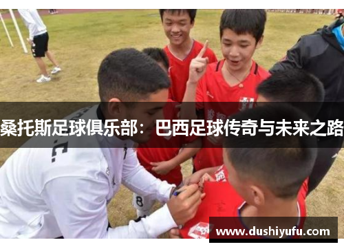 桑托斯足球俱乐部:巴西足球传奇与未来之路 桑托斯足球俱乐部:巴西足球传奇与未来之路