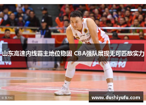 山东高速内线霸主地位稳固 CBA强队展现无可匹敌实力